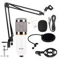 Audio7 Professional Broadcasting Studio Recording Condenser Microphone