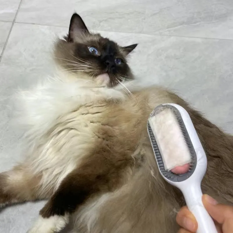 Pet Hair Remover Brush