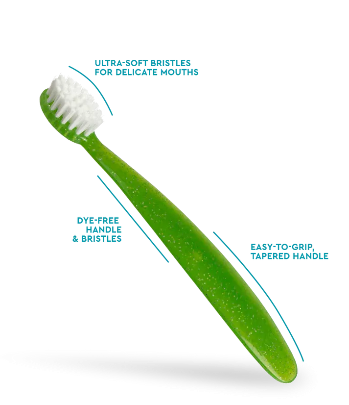 Radius Totz Toothbrush (Green)