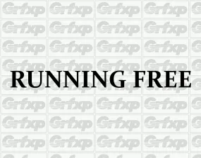 RUNNING FREE Sticker