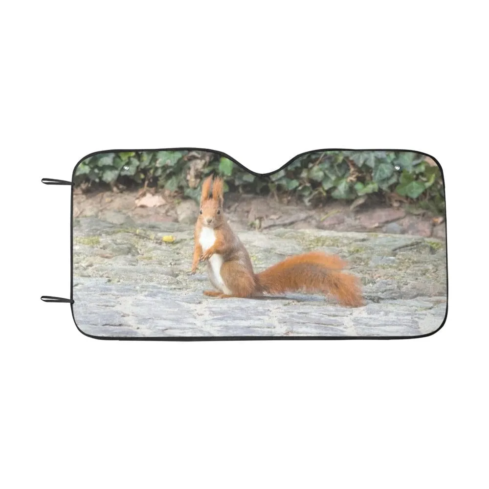 Squirrely Car Windshield Sun Shade